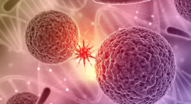 Untitled design - 2025-12-08T160141.679